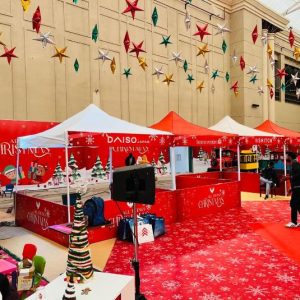 Christmas Canopy Setup